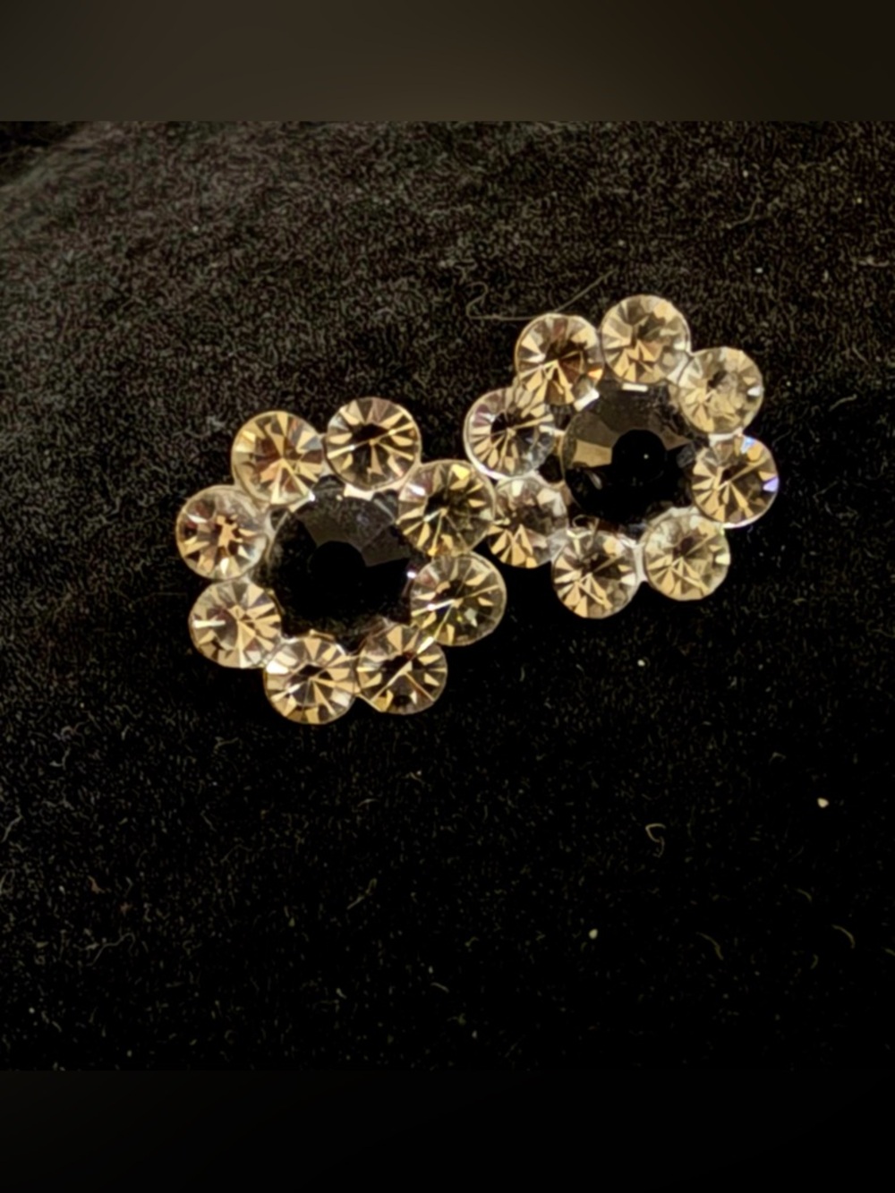 Tarina Tarantino Crystal Flower Stud Earrings – Champagne & Black